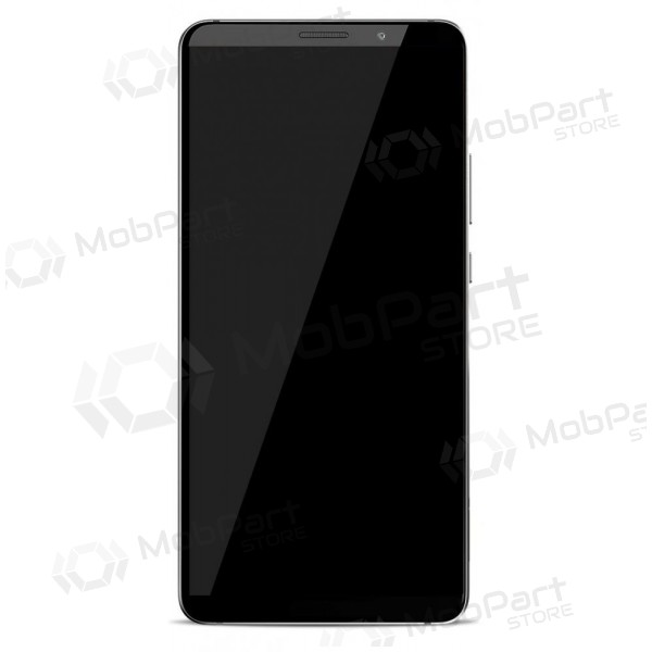 Huawei Mate 10 Pro skärm (svart) (Titanium Gray) (no logo)