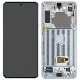 Samsung Galaxy S21+ skärm (silver) (med ram) (original)