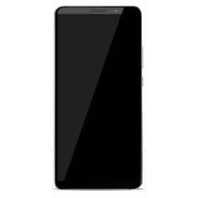 Huawei Mate 10 Pro skärm (svart) (Titanium Gray) (no logo)