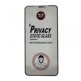LCD apsauginis stikliukas ESD Anti-Static Privacy Samsung S731 S25 FE