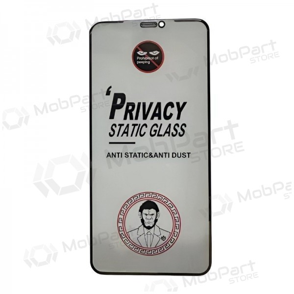 LCD apsauginis stikliukas ESD Anti-Static Privacy Samsung S731 S25 FE